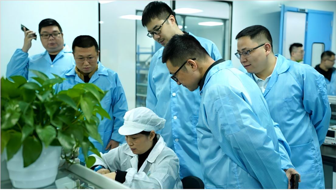 交流互鑒促發(fā)展 多家企業(yè)走進創(chuàng)芯檢測中心，零距離體驗品牌魅力